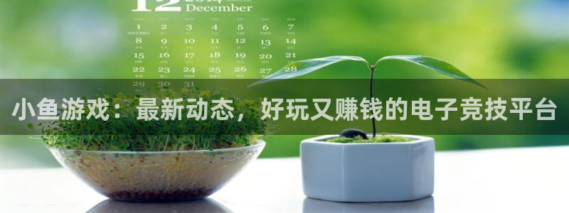 星欧娱乐线路测试